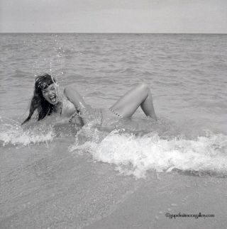 Bettie Page 1954 Camera Negative Photograph Bunny Yeager Romp In The Surf Fun Nr