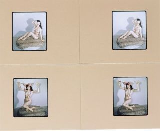 Set Of 2 Vintage Stereo Realist Photos 3d Stereoscopic Slides Nude Bettie Page